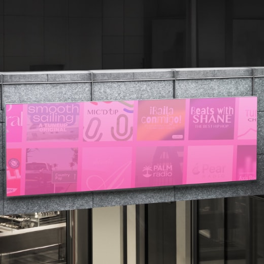 pink flower on blue sky